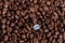 Individuality, standing out from a crowd concept, close up of a single bright, gold coffee bean over many dark ones with copy spac