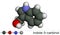 Indole-3-carbinol molecule, is found in cruciferous vegetables such as broccoli, cabbage, cauliflower, Brussels sprouts, cabbage