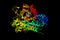 Indoleamine 2,3-dioxygenase 3d model, the first and rate-limiting enzyme