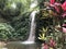 Indonesia Bali Waterfall Hidden Gem Running Waterfall Nature Fresh Flower Green Plants Oxygen Outdoor Relax Calm Zen Meditation 