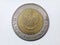Indonesia Coin currency 1000 rupiah