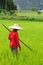 Indonesia, Rice-workers