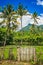 Indonesian Countryside on Sumbava Island