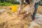 Indonesian farmer man sifting rice in the fields of Ubud, Bali. A common practice done in rural China, Vietnam, Thailand