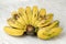 Indonesian Fruit : Pisang Kepok Kuning Musa acuminata, Yellow Local Banana Isolated on White Marble Table