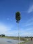 Indonesian nature when the weather is clear decorated with blue skies and white clouds