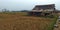 Indonesian rural natural background in the afternoon 2