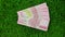 Indonesian thousand rupiah notes are isolated on a green grass background.