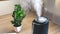 Indoor decorative and deciduous plants on the windowsill in an apartment with a steam humidifier, against the background outside t