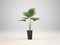 Indoor decorative plant and pot, 3d Rendering