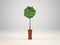 Indoor decorative plant and pot, 3d Rendering