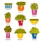 Indoor gardening icons with lettuce