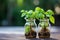 Indoor green oasis Tricolor Nephthytis in glass bottles, enhancing interior decor