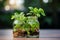 Indoor green oasis Tricolor Nephthytis in glass bottles, enhancing interior decor