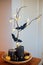 Indoor Halloween decor with black pumpkins, paper bat and light garlands. Dark home interior decorated for Halloween