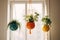 Indoor Hanging plants at home. Trailing and Hanging House Plants on window background. Home space with mini treehouse kit for a
