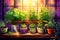 Indoor herb garden with grow lights self care background