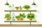 Indoor Hydroponic Garden Setup in a Modern Kitchen isolated vector style illustration