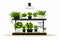 Indoor Hydroponic Garden Setup in a Modern Kitchen isolated vector style illustration