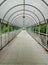 Indoor land crossing. Empty road