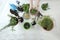 Indoor microgreens and garden room concept