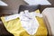 Indoor picture yellow pillow with white baby clothes