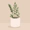 Indoor plant zamioculcas in a pot for interior decor at home, office, indoor use. Vector illustration isolated on beige