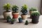 Indoor plants in ceramic and plastic pots on floor