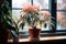 Indoor plants with a flower in a brown pot on a wooden windowsill in the house