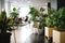 indoor plants and greenery in an office setting, bringing nature indoors