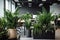 indoor plants and greenery in an office setting, bringing nature indoors