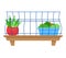 Indoor plants on shelf behind blue mesh grid. Potted green plant and flower in ceramic pot, house decoration vector