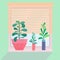 Indoor plants on the window with jalousie. House plants in design pot with drawn human face and in triangular vase. Home gardening