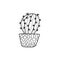 Indoor potted plant, Doodle style . Cute cactus. pattern for coloring books for adults and children. Hand-drawn vector