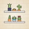 Indoor shelf cactus