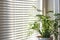 indoor shot of white venetian blinds reducing sunlight