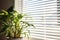 indoor shot of white venetian blinds reducing sunlight