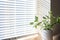 indoor shot of white venetian blinds reducing sunlight