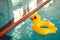 Indoor swimming pool with swim lanes and Duck rubber ring