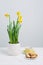 Indoor table setting. Narcissus flower in a pot with cookies and
