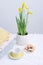 Indoor table setting. Narcissus flower in a pot with knitted sweaters.