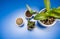 Indoor trending various green house plants ceramic pots on blue background, top view modern design