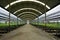 Indoor tropical orchid flower farm with curved roof in the middle