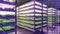 Indoor vertical farm. Hydroponic microgreens plant factory. Plants grow with led lights.