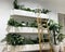 Indoor vertical gardening. Shelves with tropical plants on the wall with a ladder. Vertical landscaping with anthurium