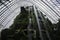 Indoor Waterfall, Cloud Forest Dome, Garden by the bay, Singapore