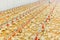 Indoors chicken farm, chicken feeding, farm for growing broiler chickens