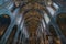 Indoors view and the ceiling of the Cathedral of Albi, France