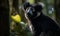 Indri in the Mist Capturing the Wild Beauty of Madagascars Primate. Photo of indri standing tall and proud in the lush rainforest