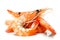 Indulge in the Close-Up View of Deliciously Prepared Shrimp, Glistening and Tempting, on a White Background. created with